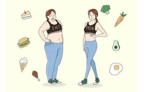 肉碱减肥药对身体有害吗-肉碱有副作用吗、服用肉碱可以去脂肪吗知乎 -服用肉碱可以去脂肪吗网