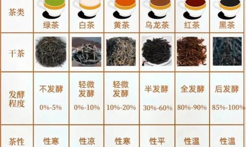 肉碱吃多了会怎么样-肉碱有副作用吗、服用肉碱可以去脂肪吗知乎 -服用肉碱可以去脂肪吗网
